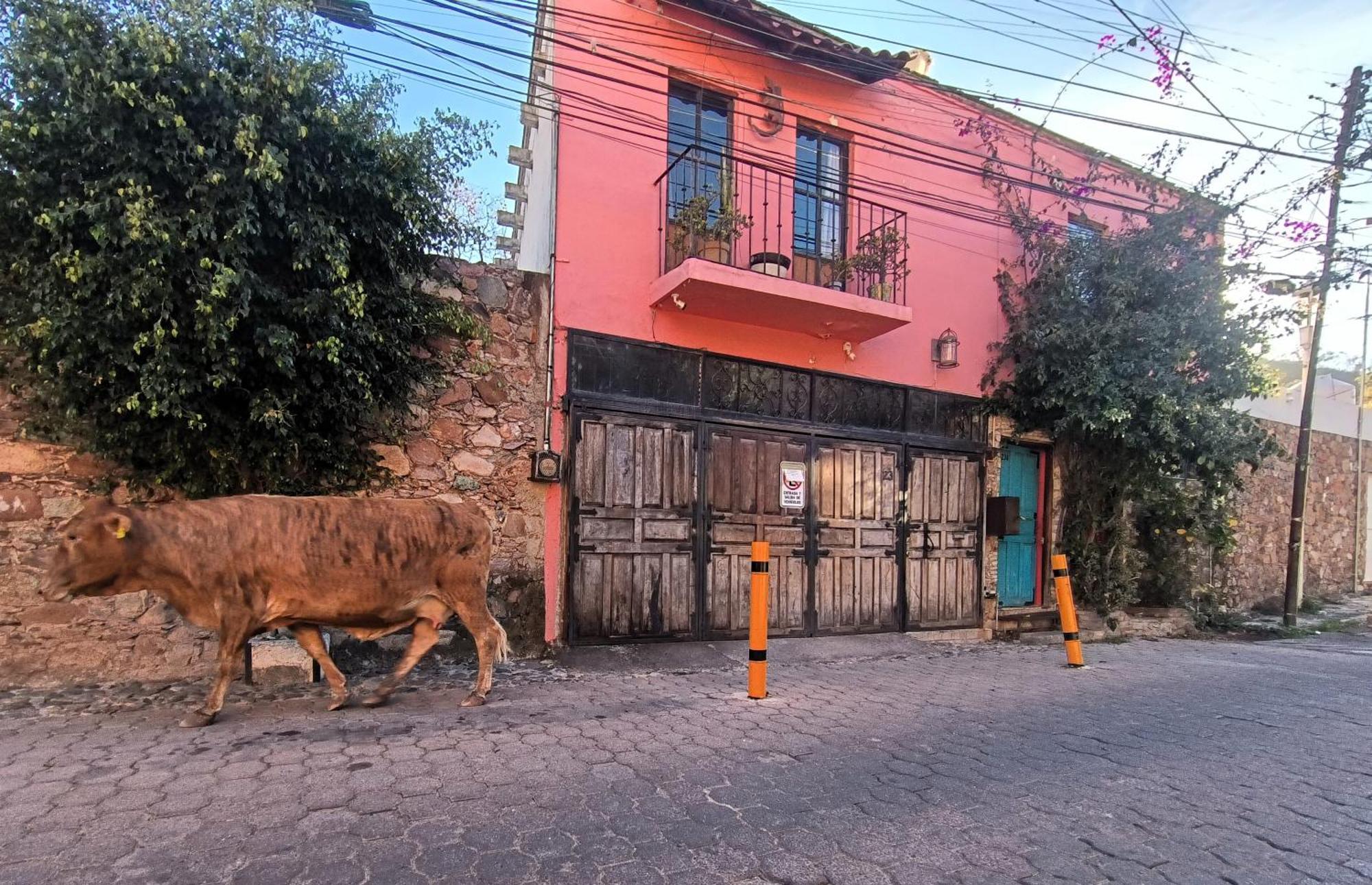 El Refugio De San Matias Lejlighedshotel Guanajuato Eksteriør billede