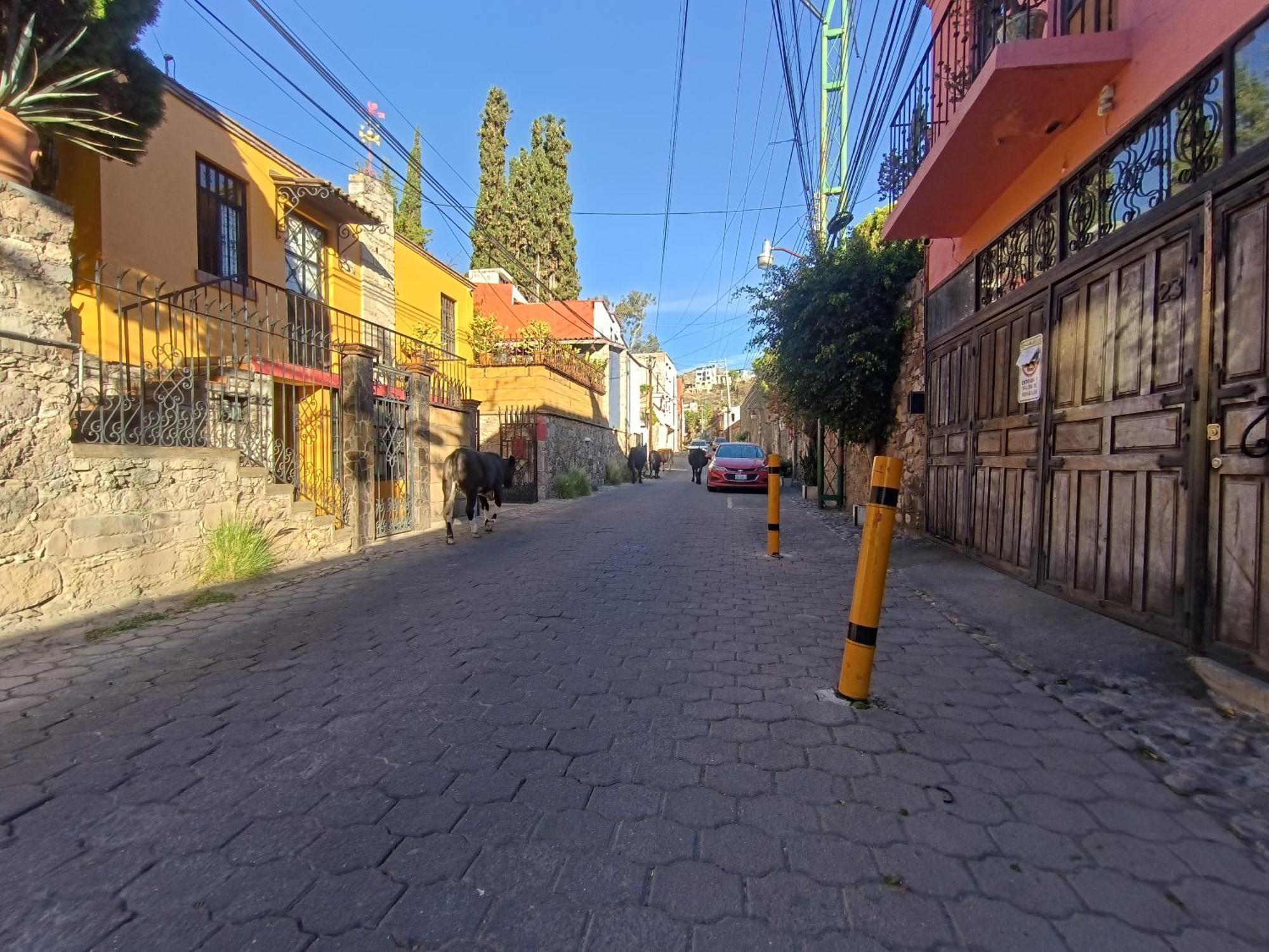 El Refugio De San Matias Lejlighedshotel Guanajuato Eksteriør billede